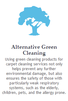 organic green carpet cleaning
