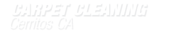 cerritoscarpetcleaning.com